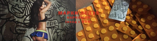 PSILOCYBIN Арсеньев