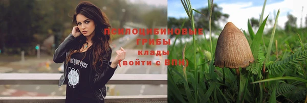 спиды Армянск