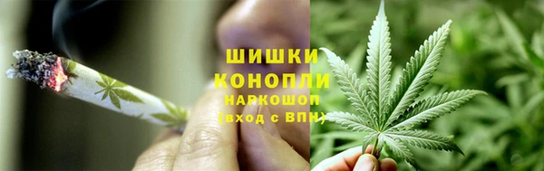 твердый Аркадак