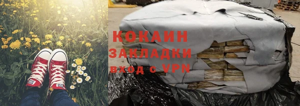 твердый Аркадак