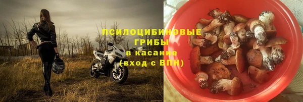 спиды Армянск